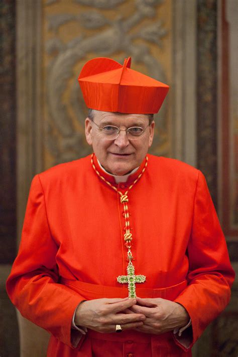 what is a catholic cardinal.